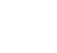 TMX-logo-white